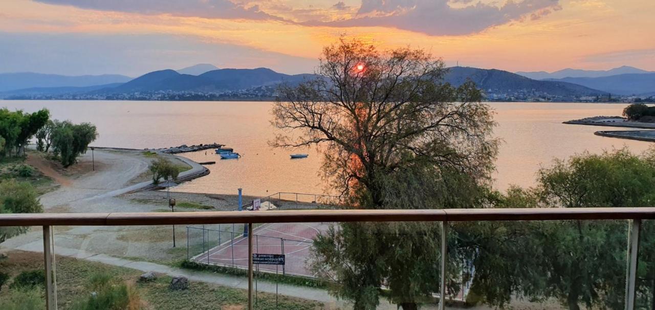 Cozidea Apartments Χαλκίδα Εξωτερικό φωτογραφία